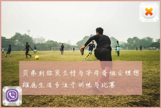 贝弗利称莫兰特与字母哥组合理想雄鹿生活专注于训练与比赛