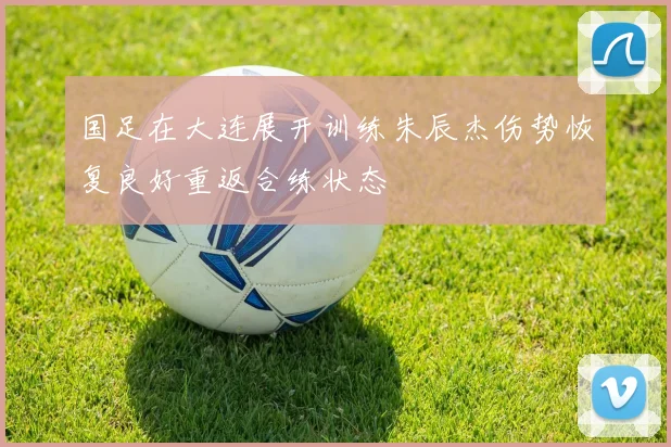 国足在大连展开训练朱辰杰伤势恢复良好重返合练状态