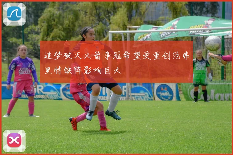 追梦破灭火箭争冠希望受重创范弗里特缺阵影响巨大